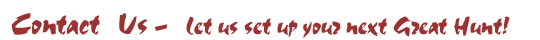 Contact Us