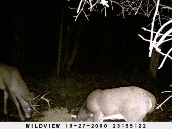 ,nov14,2008 015 (10)
