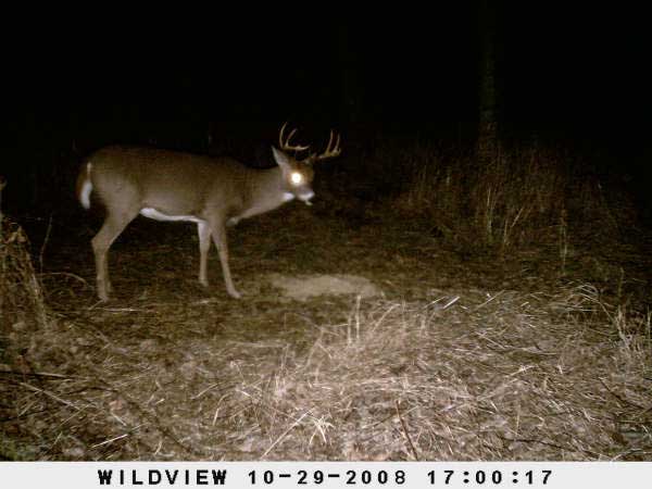 ,nov14,2008 015 (12)