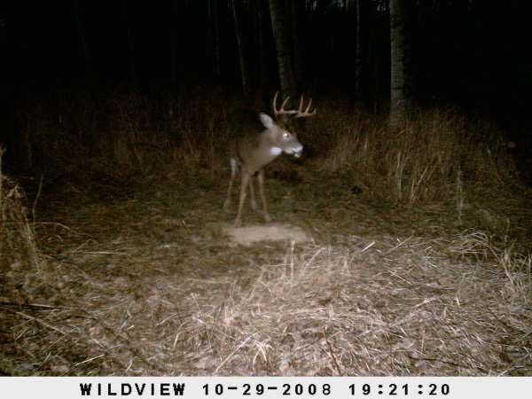 ,nov14,2008 015 (13)