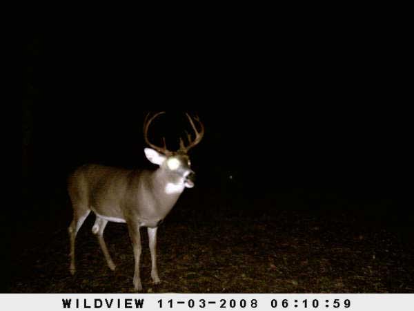 ,nov14,2008 015 (14)