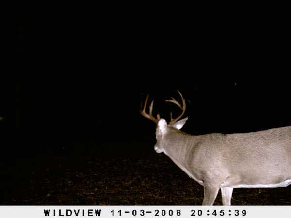 ,nov14,2008 015 (15)