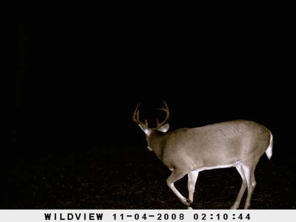 ,nov14,2008 015 (17)