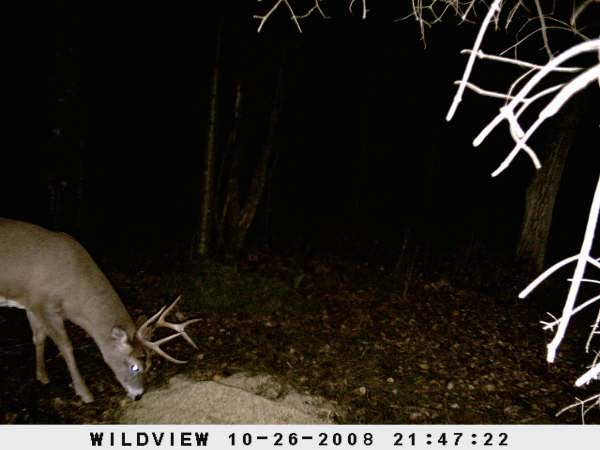 ,nov14,2008 015 (18)
