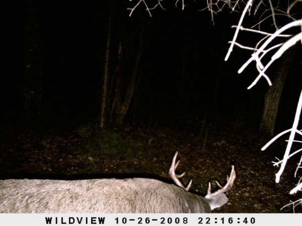 ,nov14,2008 015 (19)