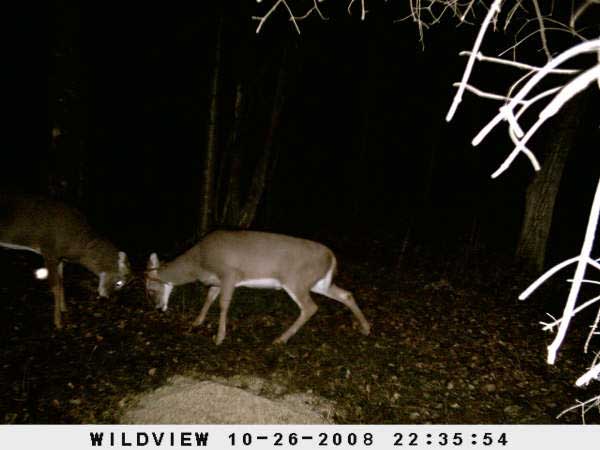 ,nov14,2008 015 (20)
