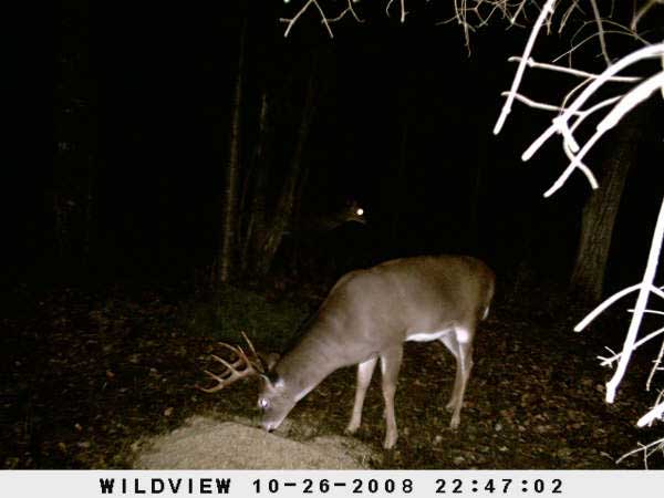 ,nov14,2008 015 (21)
