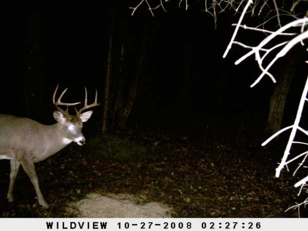 ,nov14,2008 015 (23)