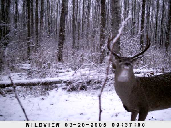 ,nov14,2008 015 (24)