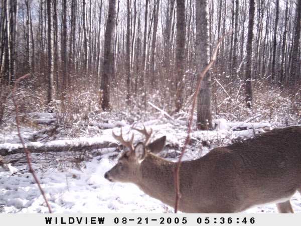 ,nov14,2008 015 (4)