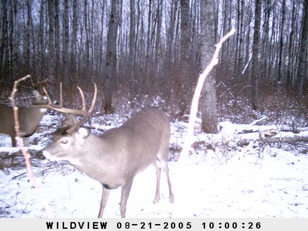 ,nov14,2008 015 (5)