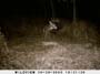 ,nov14,2008 015 (13)