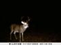 ,nov14,2008 015 (14)