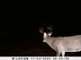 ,nov14,2008 015 (15)