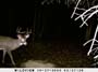 ,nov14,2008 015 (23)