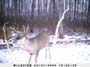 ,nov14,2008 015 (5)