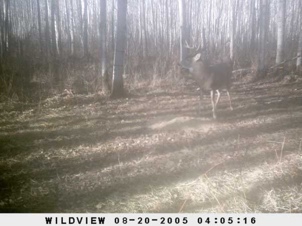 2009,10
