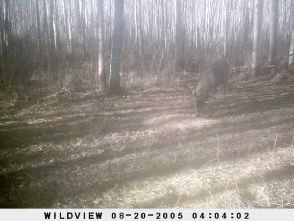 2009,2