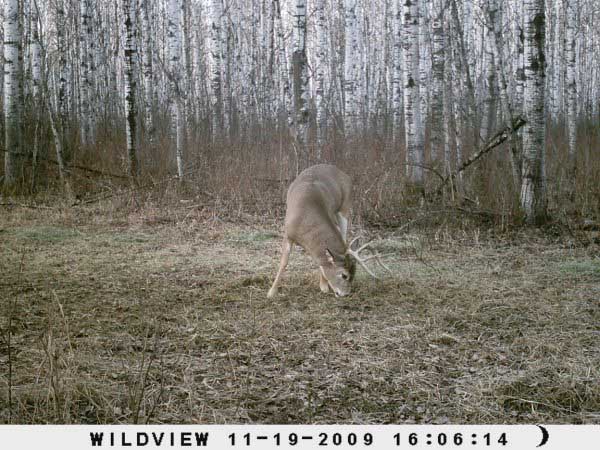 2009,65